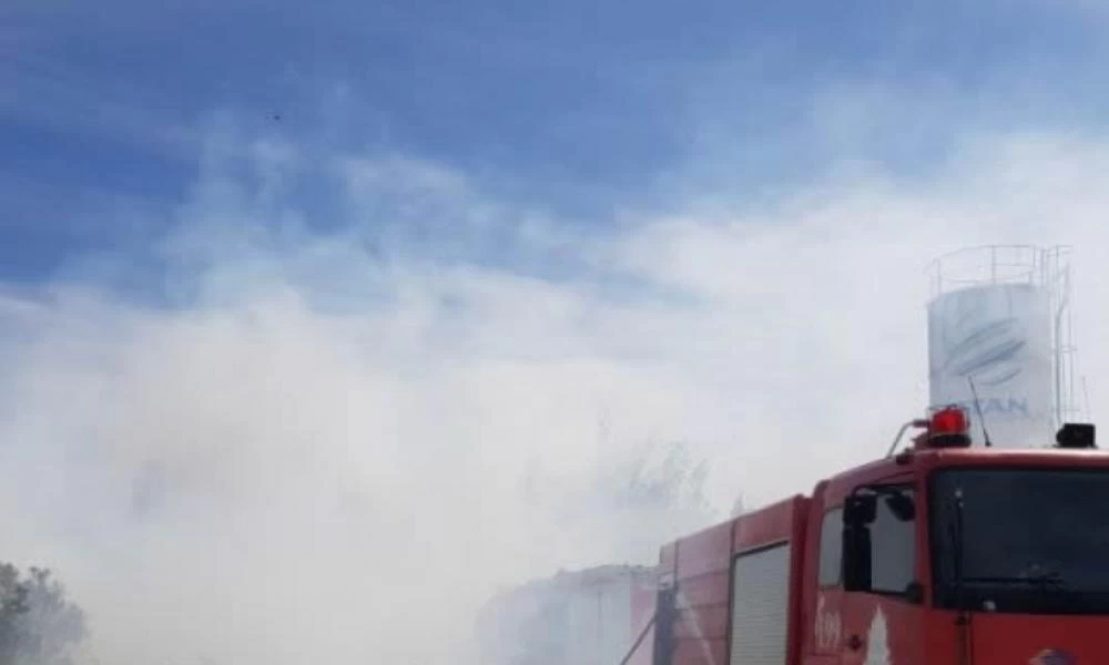 Λαμία: Μεγάλη φωτιά σε εργοστάσιο ξυλείας - Εικόνες